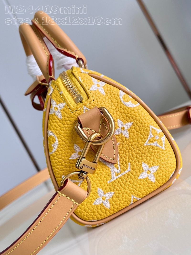 LV Speedy Bags